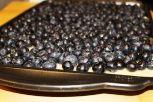 Blueberry Streusel Cake – My Oma’s Blueberry Streusel Cake l cookinginmygenes.com