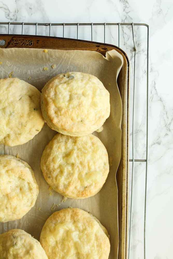 Cheddar-Thyme Biscuits | cookinginmygenes.com