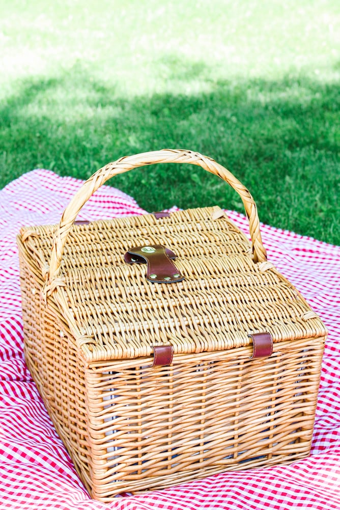 Picnic in the Park with Friends & Alforno | cookinginmygenes.com