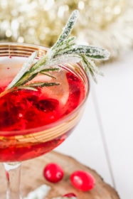 Cranberry Rosé Fizz Cocktail | cookinginmygenes.com