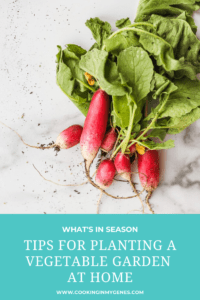 Tips for planting a vegetable garden at home