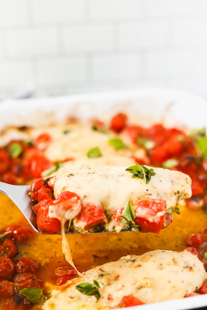 One Pan Baked Chicken with Tomatoes & Oregano