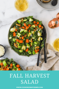 Fall Harvest Salad: Fall Dinner Ideas