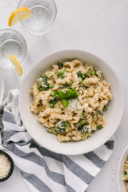 Cheesy One Pot Broccoli Pasta Cheesy One Pot Broccoli Pasta