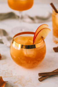 bourbon fizz cocktail