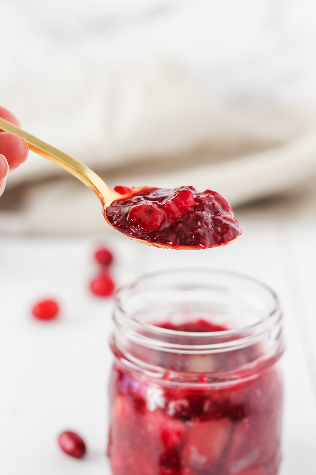 cranberry recipe inspiration
