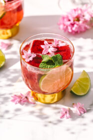 blackberry vodka drinks in a glass