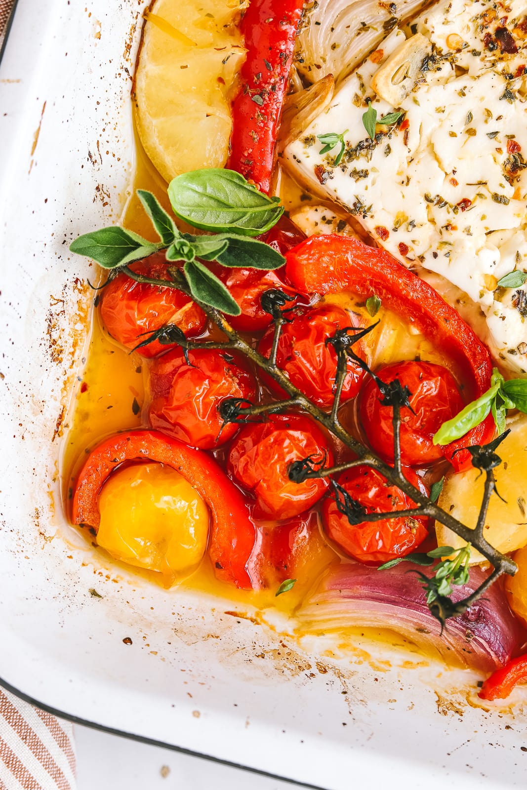 closeup of roasted tomatoes