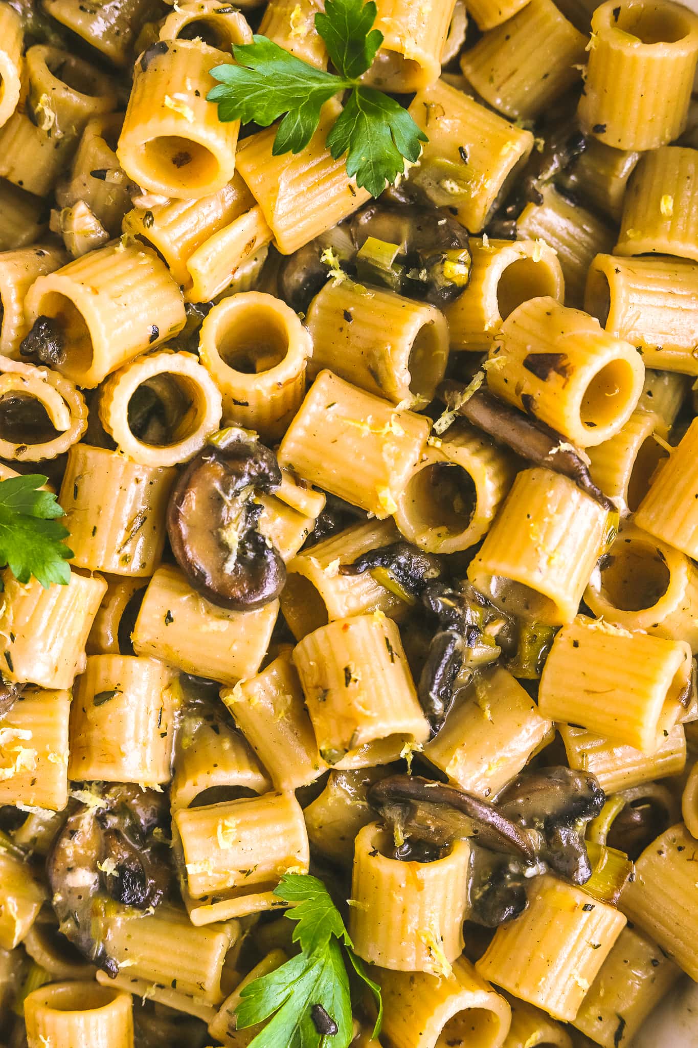 close up of pasta noodles and mushrooms