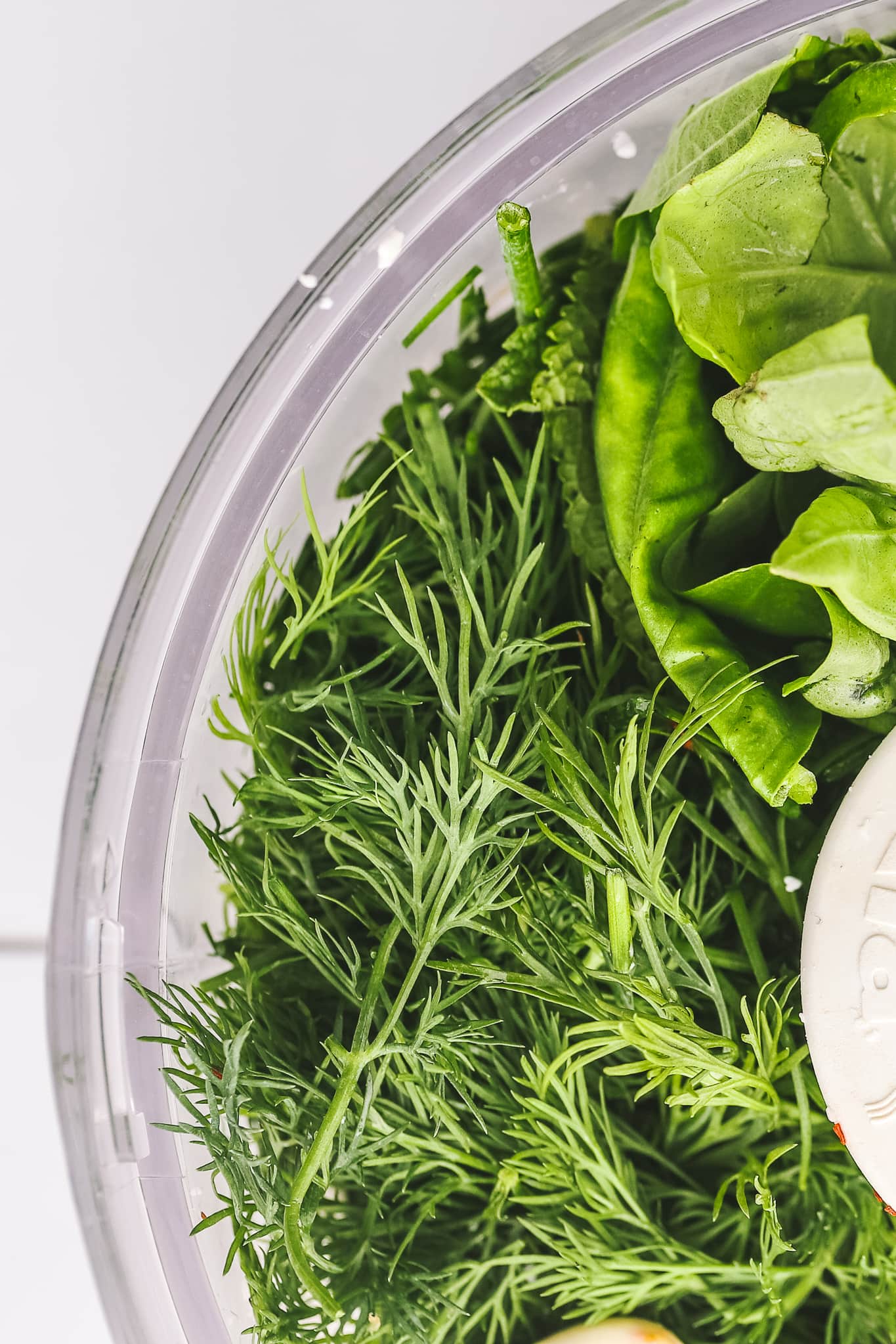 fresh herbs in a food processor