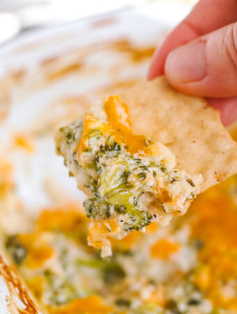 cracker dipped into broccoli cheese dip