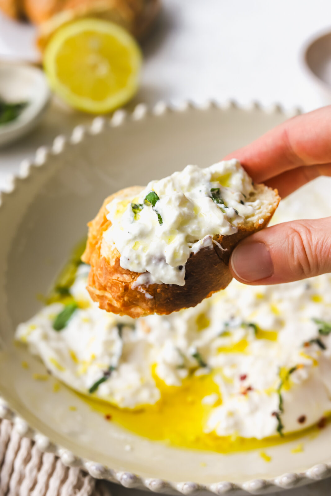 burrata on a piece of bread with fresh basil
