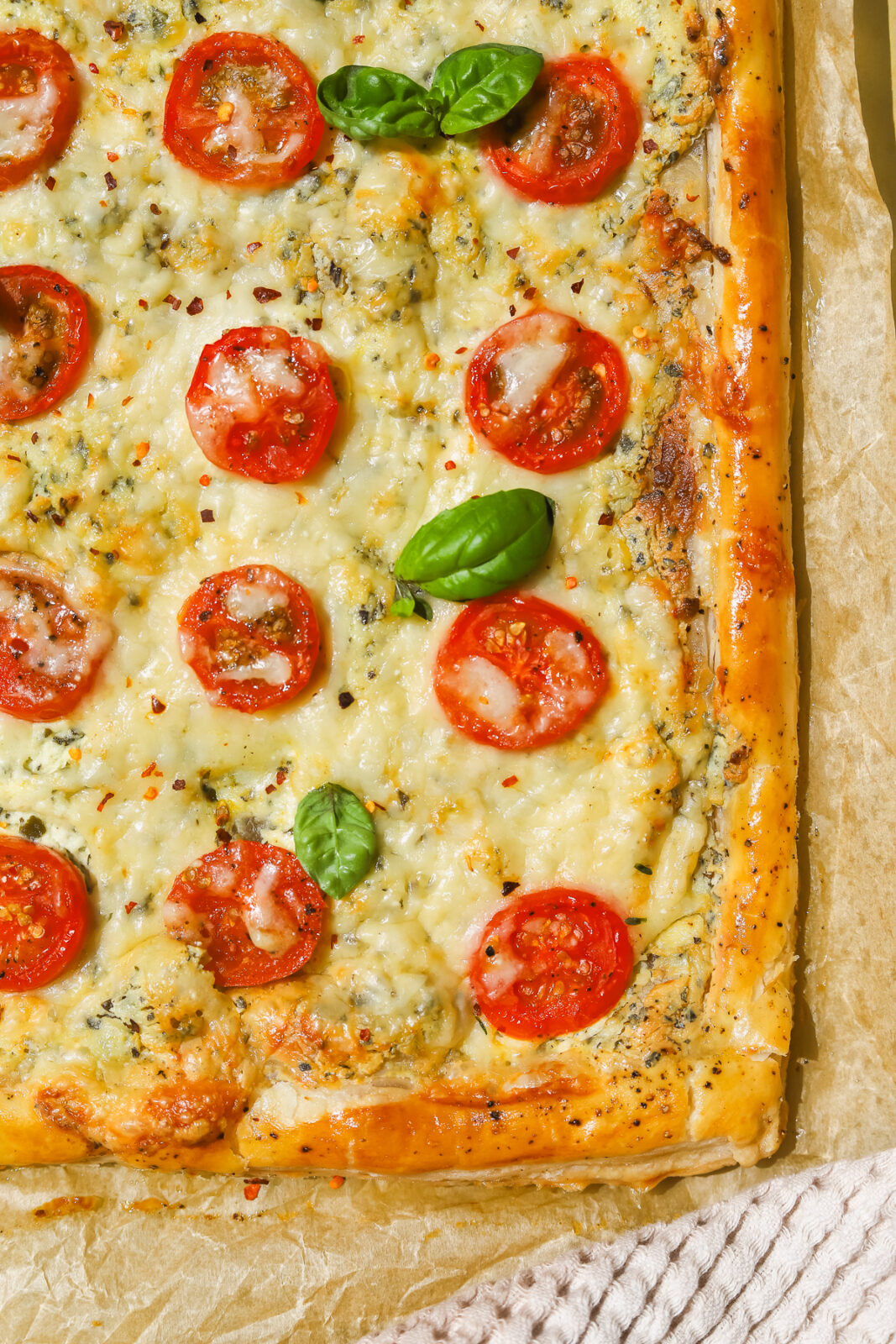 close up of a tomato and cheese tart