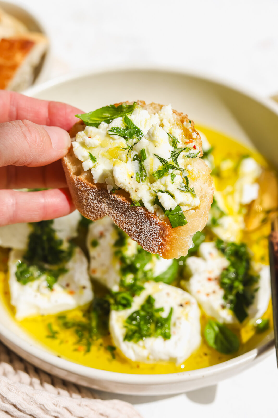 hand holding a piece of bread with goat cheese spread on top