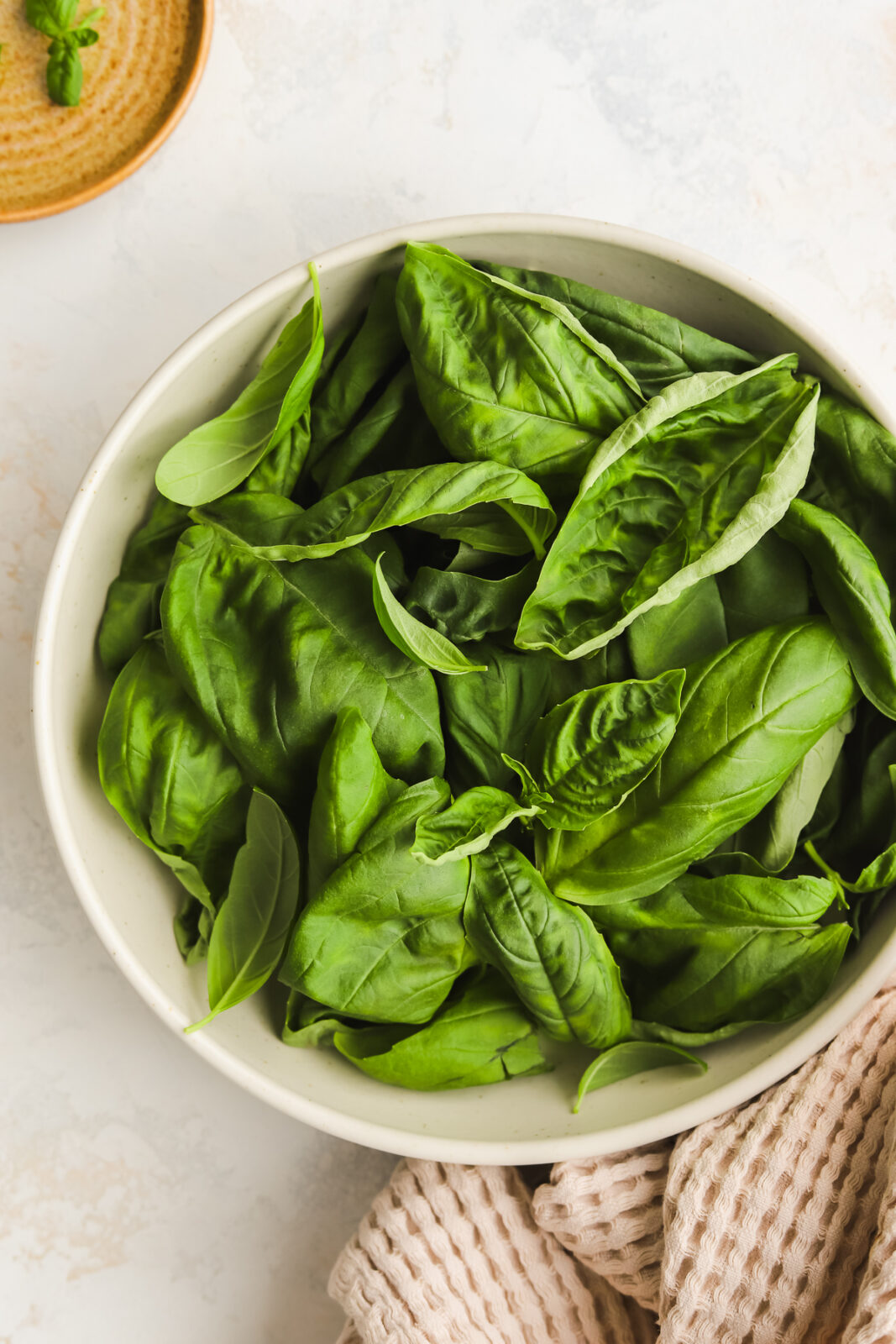 fresh basil leaves in a bowl