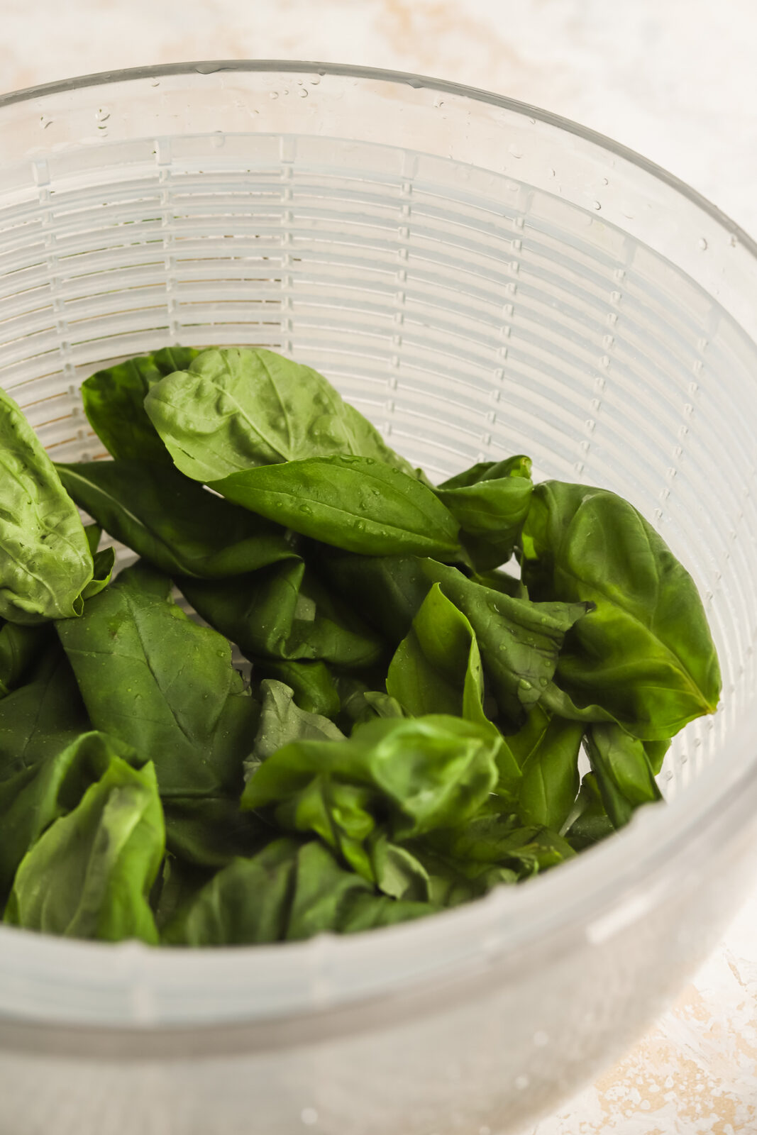 fresh-washed basil leaves in a salad spinner bowl