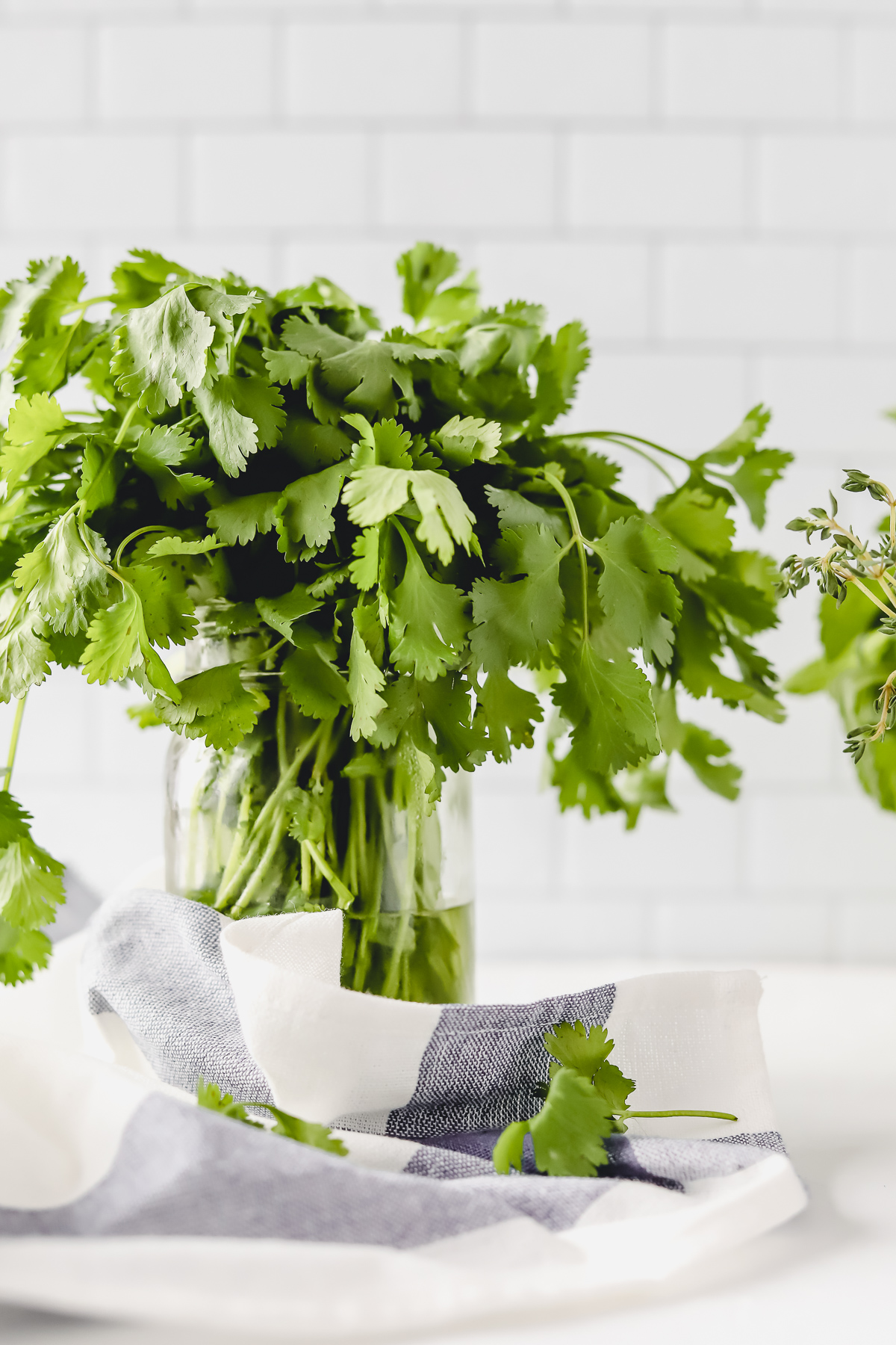 fresh herbs in mason jars