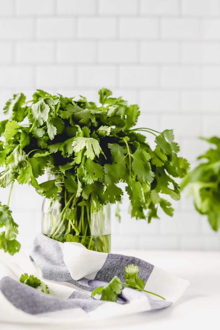 fresh herbs in mason jars with water